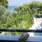 Akrokeramon